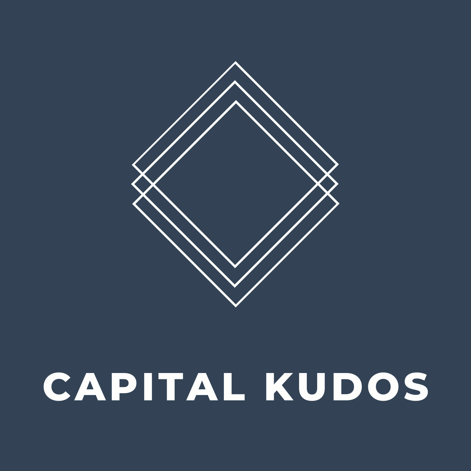 developer logo
